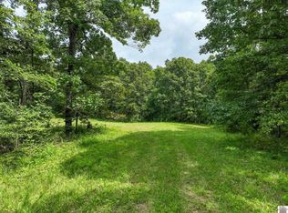 1134 Pisgah Rd, Smithland, KY 42081