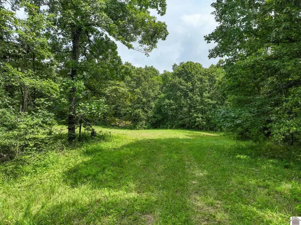 1134 Pisgah Rd, Smithland, KY 42081