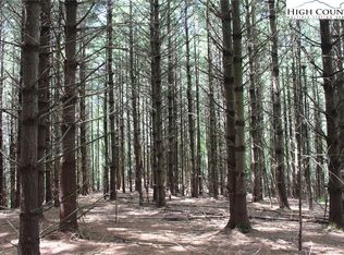 Tbd Low Gap Rd, Jefferson, NC 28640