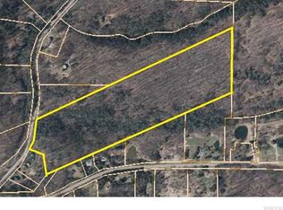 9239 Hayes Hollow Rd, Colden, NY 14033