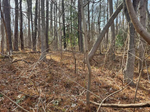 104 American Dr, Montross, VA 22520