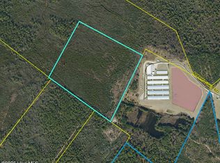 44 Acres Nance-Coble Tract Road, Garland, NC 28441