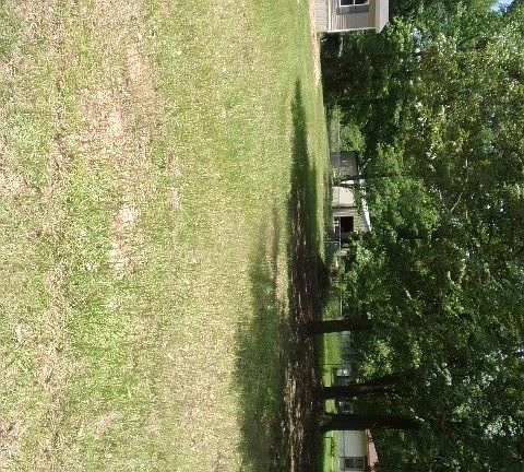 3rd image of 8141 Paula Kay Pl