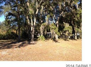 298 Maxwell Dr, Welaka, FL 32193