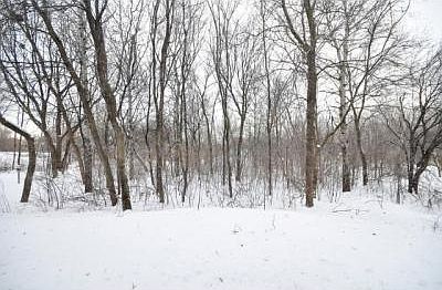 2nd image of 1244 99th Ct NE