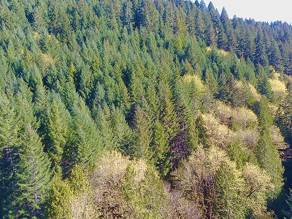 3rd image of S Fork Rd
