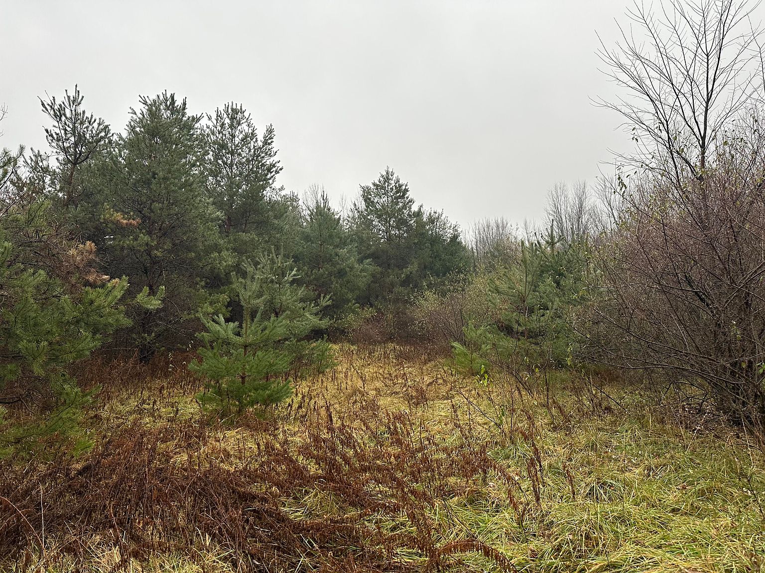 5104 E Mount Garfield Rd, Fruitport, MI 49415 Zillow