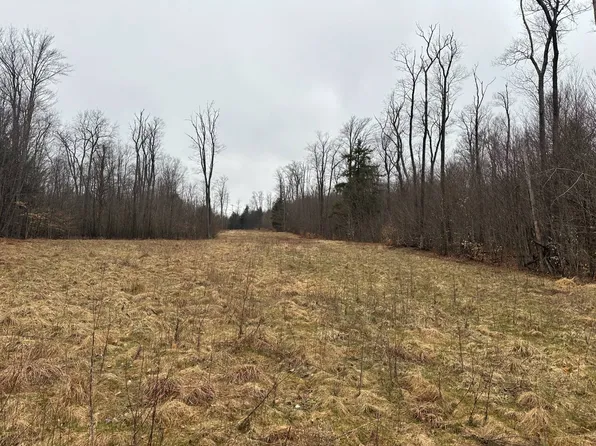 0 Nordmont Rd, Muncy Valley, PA 17758