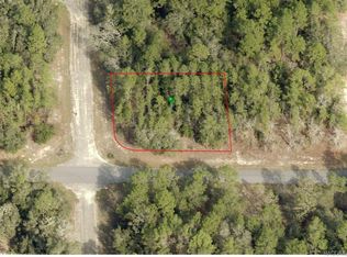408 E Panama Dr, Citrus Springs, FL 34434