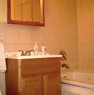 1 bed, 1.0 bath, 500 sqft, $1,450 — Photo 4