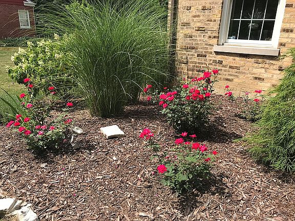 New professional landscaping