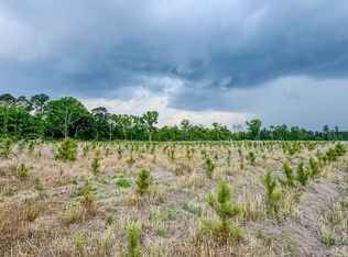 Rl Lee Rd, Statesboro, GA 30461