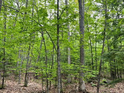 0 Ledgeview Heights, Hiram, ME, 04041