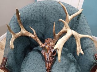 97 Three Springs Loop, Long Lane, MO 65590