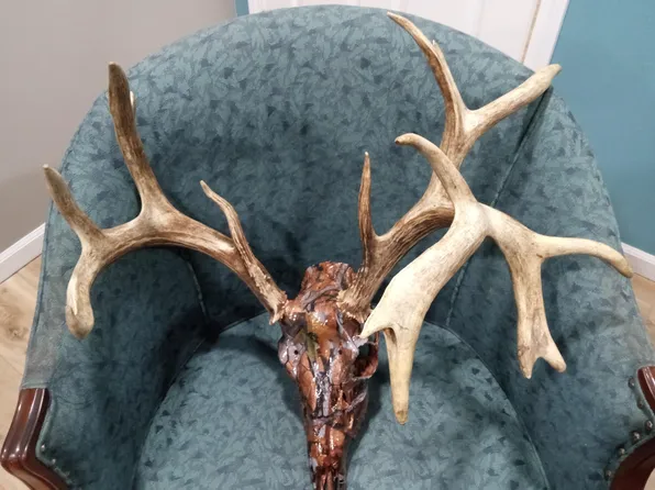 97 Three Springs, Long Lane, MO 65590