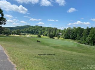 56 Winesap Blvd, Lake Lure, NC 28746