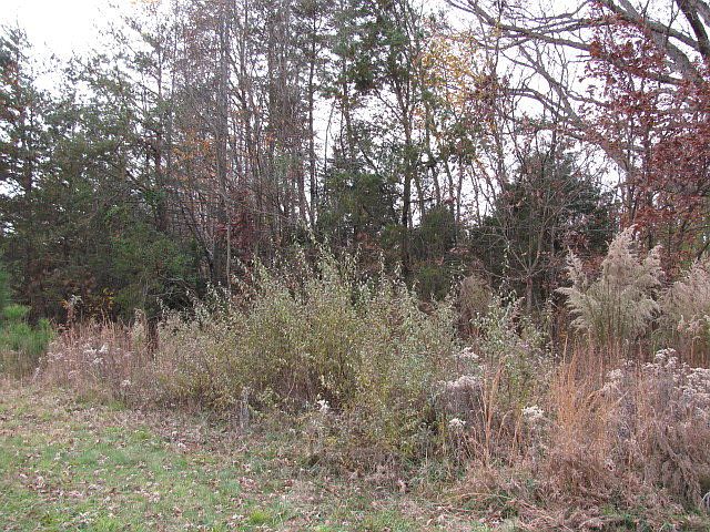 2nd image of 2565 Virso Rd