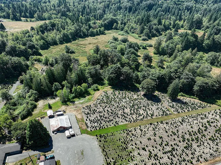18021 Issaquah Hobart Rd SE — Photo 7