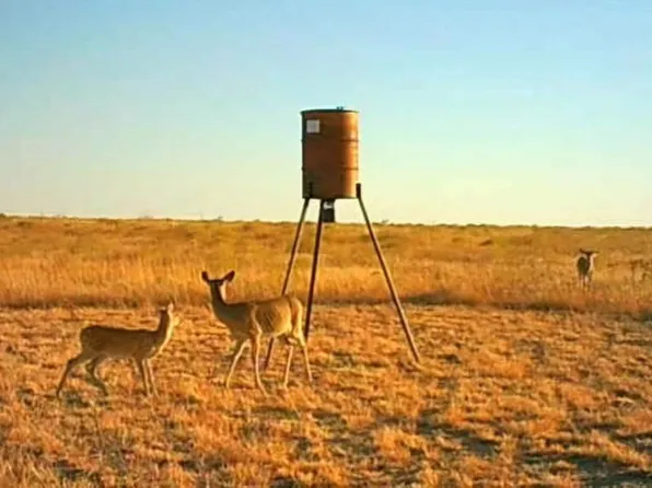 1860 N County Rd #3, Mangum, OK 73554