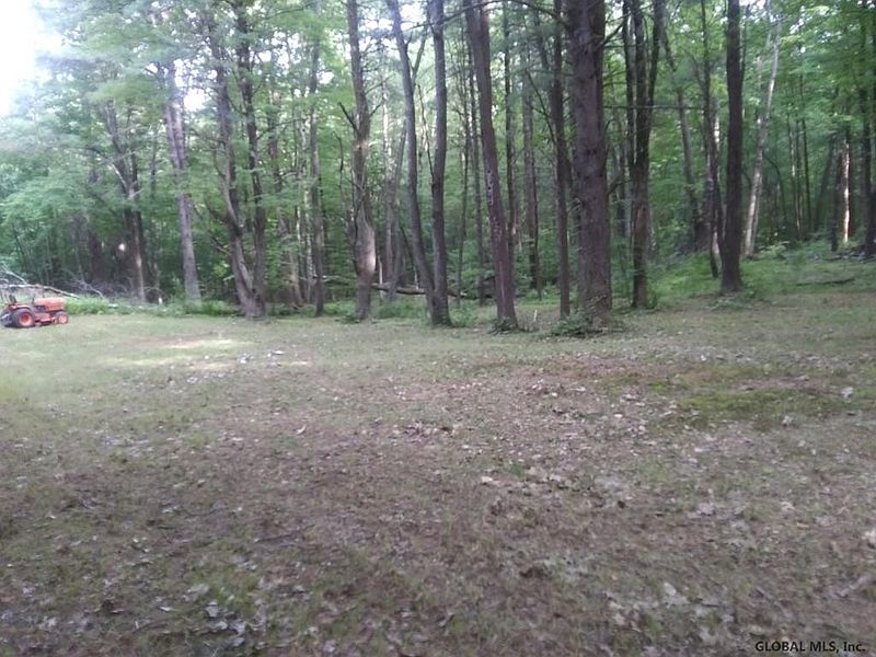 2nd image of 0 ALBANY Turnpike