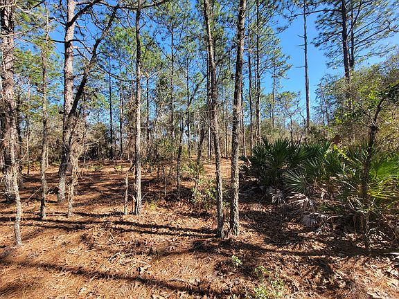 5th image of 4060 W Alamo Dr Lot Wp001