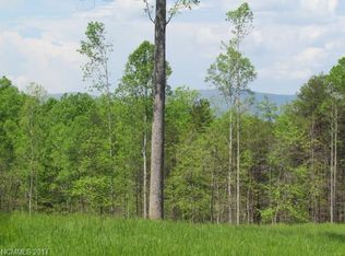 389 Burt Blackwell Rd, Mill Spring, NC 28756