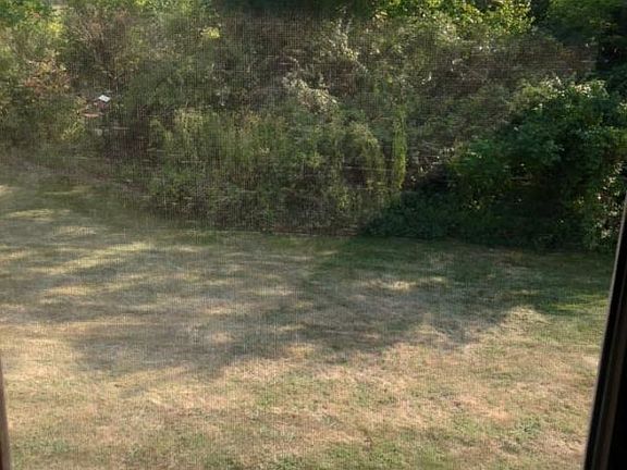 4th image of 841 Gino Ln