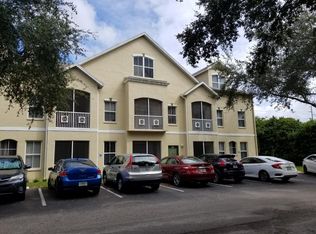 5033 Sunridge Palms Dr, Tampa, FL 33617