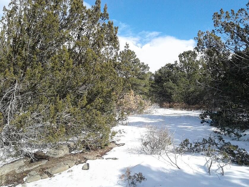 2nd image of 10 William Bonney Rd