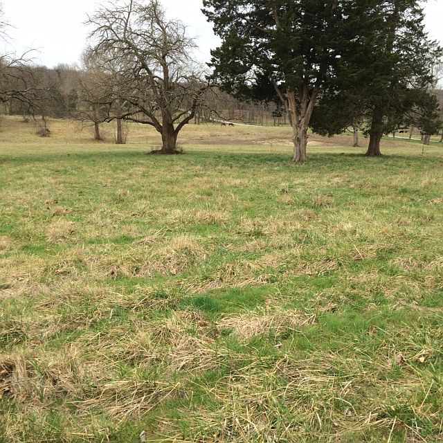1st image of 7809 N Farm Rd 129
