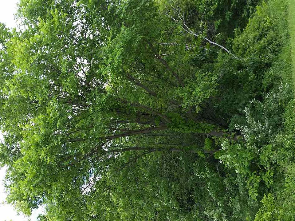 2nd image of Denzer Rd