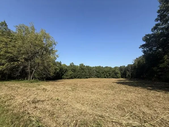 0 Ellis Ln, Springville, TN 38256