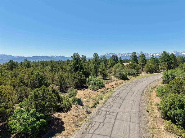 LOT 555 Badger Trl N, Ridgway, CO 81432