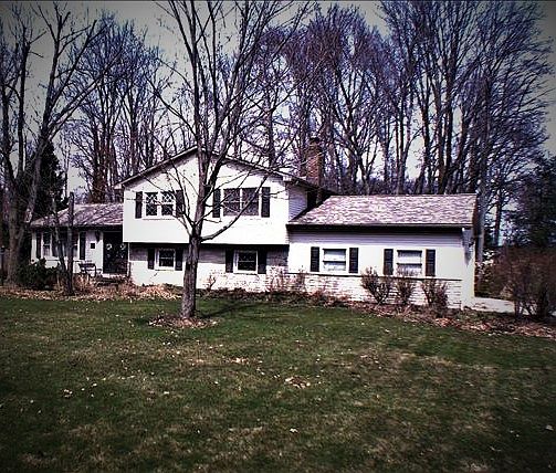 1st image of 297 Cricklewood Dr
