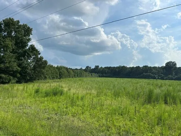 5 Seven Mile Rd, Harleyville, SC 29448