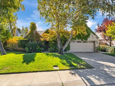 834 Cinnamon Teal Way, Manteca, CA, 95337