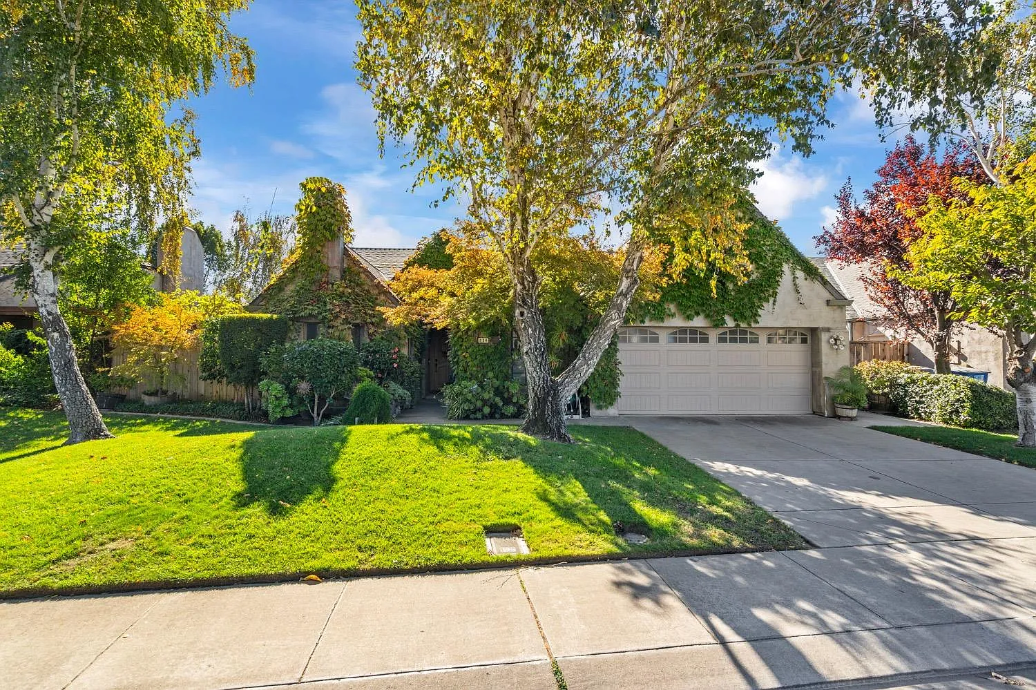 834 Cinnamon Teal Way photo 1
