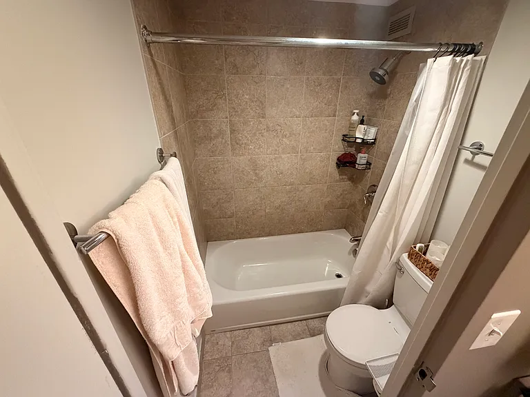 1221 N Dearborn St #411N — Photo 11