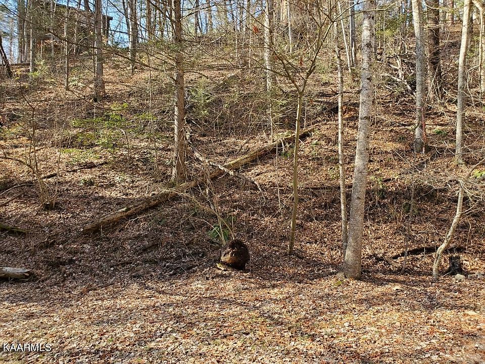 2nd image of N Spring Hollow Ct
