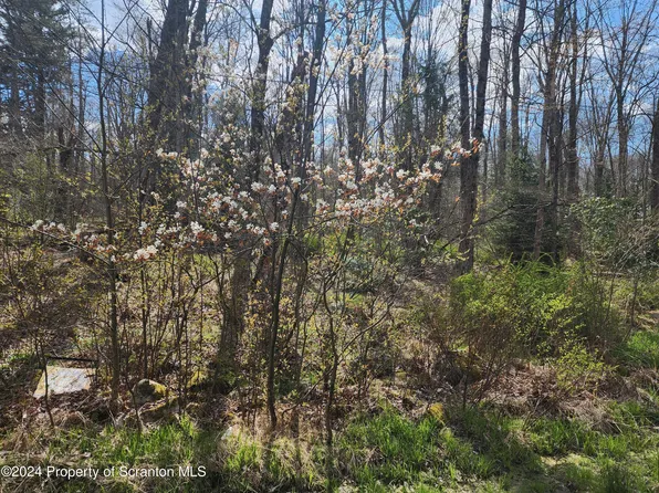 Ridge St, Moscow, PA 18444