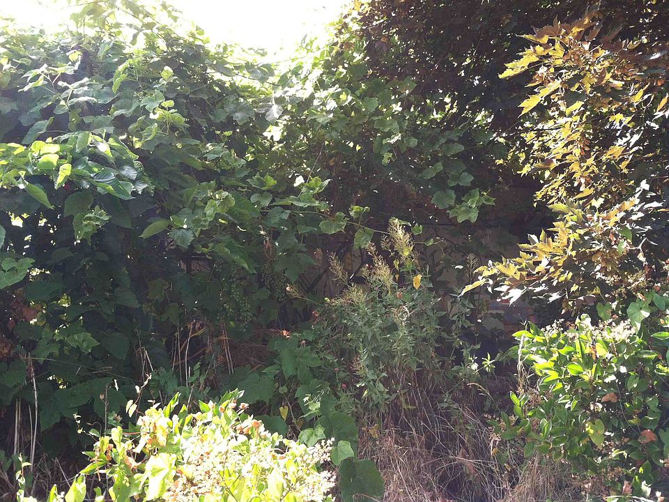 2nd image of 5523 11th Ave NE