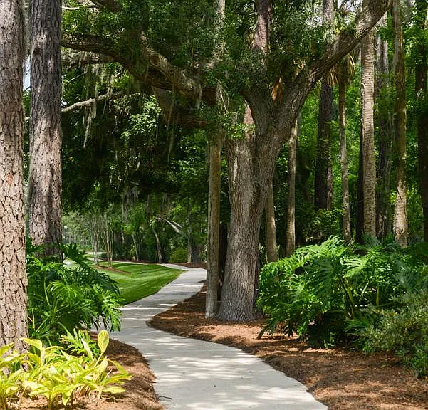 Nature Trails Throughout the Neighborhood