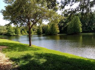 15008 Snapping Turtle Ln, Tampa, FL 33625