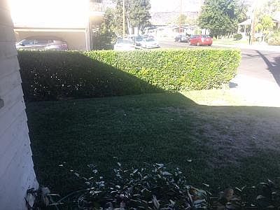 Front yard