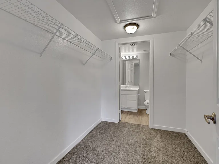 496 Baby Eagle St — Photo 17