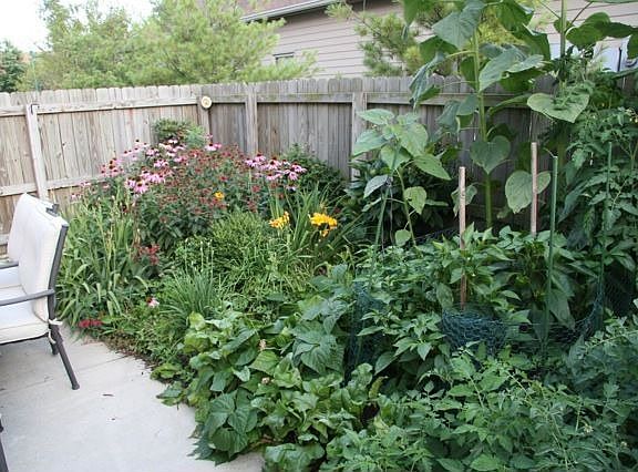 Patio Garden