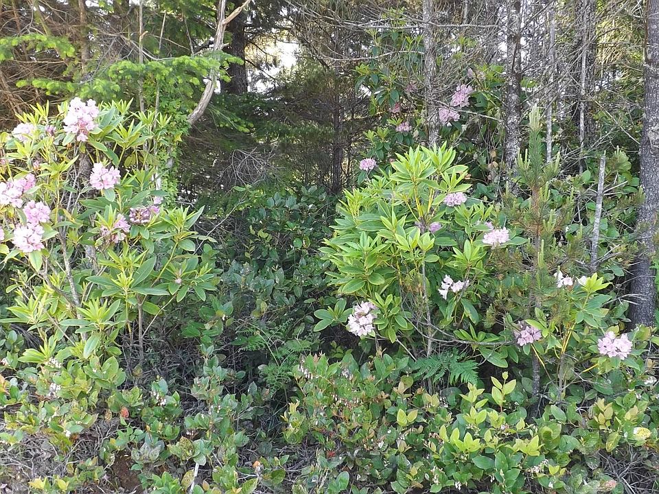 2nd image of Tl 1500 Nw Kimberley Way