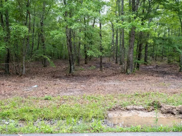 0 Pepper Rd, Taft, TN 38488