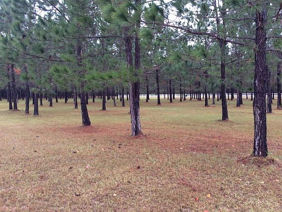 2nd image of 600 Ga Highway 130 W