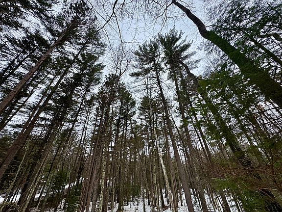 2nd image of 12AC Eagle Rd